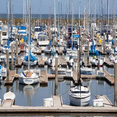 south_dock_large_0
