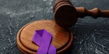 Domestic Violence Council