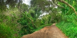 Junipero Serra - City Park Trail