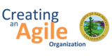 Creating an Agile Organization