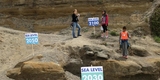 Signs marking projected sea level rise