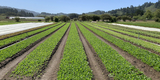 2021 San Mateo County Agricultural Crop Report