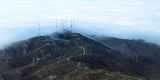 San Bruno Mountain