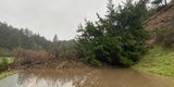 Cloverdale Road - Debris