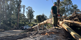 Tree Clean-up at Coyote Point, March 16, 2023
