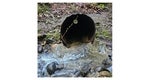 Culvert Replacement at Alpine Road at Rogers Gulch Inlet 1 June 2025
