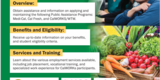 Public assistance Programs Flyer, young adults smiling, vegetables displayed and a park scene with people reading and having a picnic in the background. 