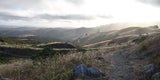 D3 Trail