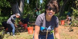 Volunteers at San Bruno Mountain Park