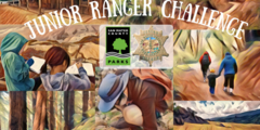 Junior Ranger Challenge