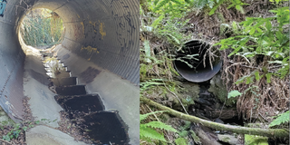 Wurr Road - Pescadero Creek Road Culverts