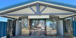 Coyote Point Mural