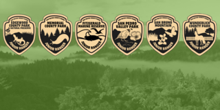 Junior Ranger Badges