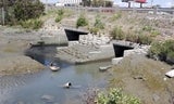 Navigable Slough Feasibility Study