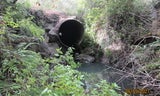 Culvert Outlet