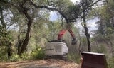Huddart Park Forest Health Work