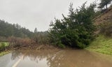 Cloverdale Road - Debris