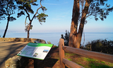 Coyote Point trail marker with trees and view across San Francisco Bay