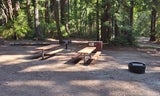 Huckleberry Flat #3