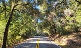 Pescadero Creek Road