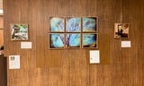 blue paintings hung on wall to resemble window panes