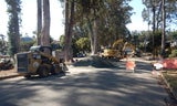 Ferdinand Drainage September 2025 Progress C.JPG