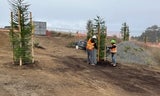 November 2025 Progress - placing_fencing_around_trees_at_LoneStar