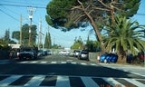 LTP 7 December 2025 Dumbarton Ave and Devondhire Ave.JPG