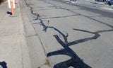 LTP 7 November 2025 Crack Sealing 2.JPG