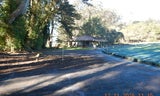 San Bruno Mountain January Update.JPG