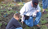 Marine Reserve Habitat Restoration