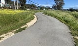 Midcoast Multi-Modal Trail