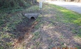 April 2026 Existing Headwall and Culvert to be Removed
