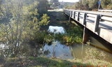 April 2026 Run off to drain to Butano Creek