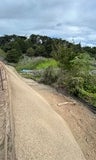 Tunitas Creek Slide Repair Shotcrete Wall April 2026.JPG