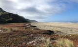 Tunitas Creek Beach Looking Southward