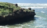 Tunitas Creek Beach Rocks