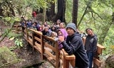 youth on bridge at camp