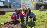 School gardens teach life skills