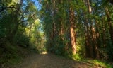 Alambique Trail 1