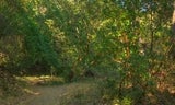 AlambiqueTrail 3