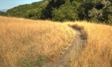 Edgewood Park - Franciscan Trail  001.jpg