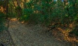 Huddart-ArcheryFireRd-004.jpg