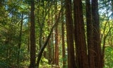 Huddart-Richards Rd-001.jpg