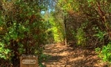Huddart-Richards Rd-003.jpg