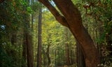 Huddart-Richards Rd-004_0.jpg