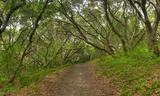 Buckeye Trail