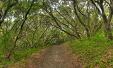 Junipero Serra - Buckeye Trail  002_0.jpg
