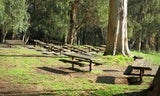 Meadow View Picnic Area in Junipero Serra Park