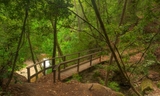 Footbridge on Homestead Trail